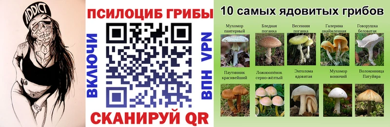 Псилоцибиновые грибы ЛСД где продают Волоколамск