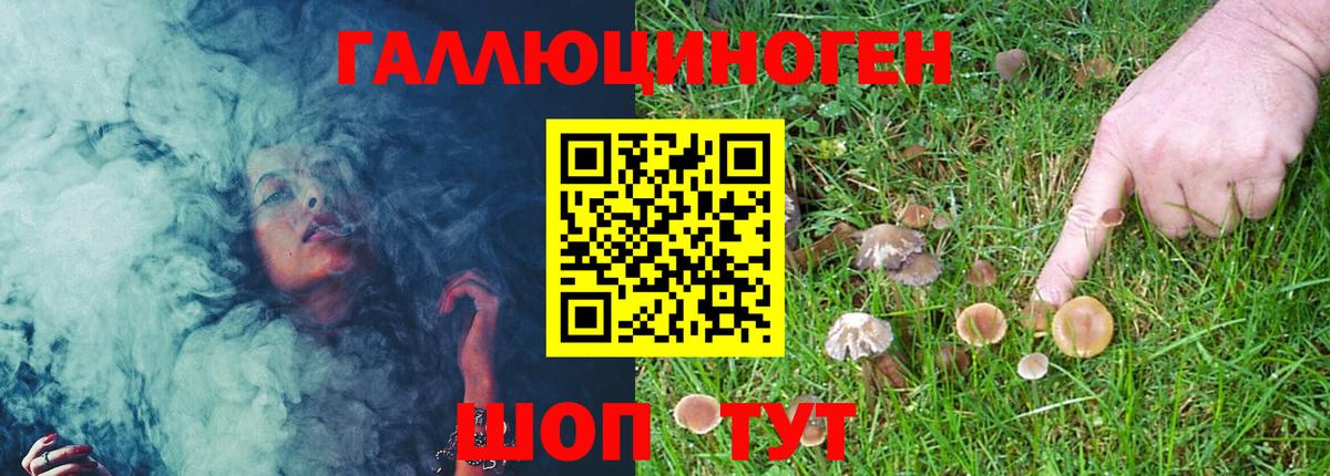 Галлюциногенные грибы Cubensis  Вход с VPN  Галлюциногенные грибы мухоморы  Волоколамск 
